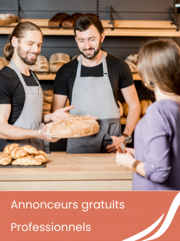 Annonceurs gratuits professionnels secteur wasselonne