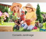 Jardinage